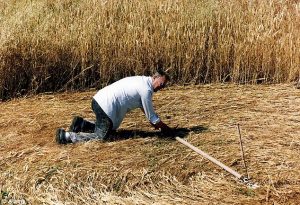 Making Crop Circles